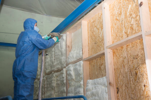 Best Insulation Contractors for Homes  in Oneonta, NY